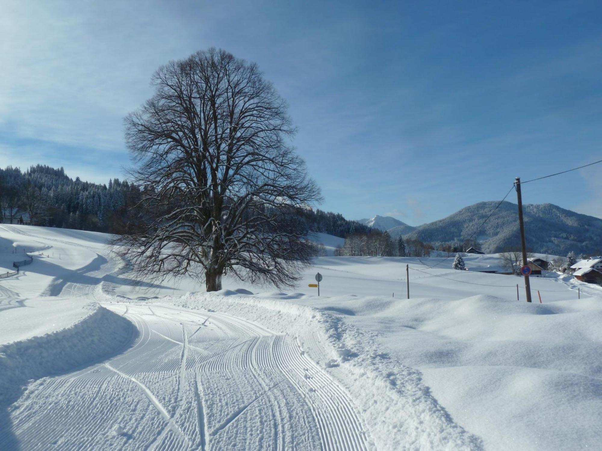 Ferienwohnung Panorama Bad Kohlgrub Esterno foto