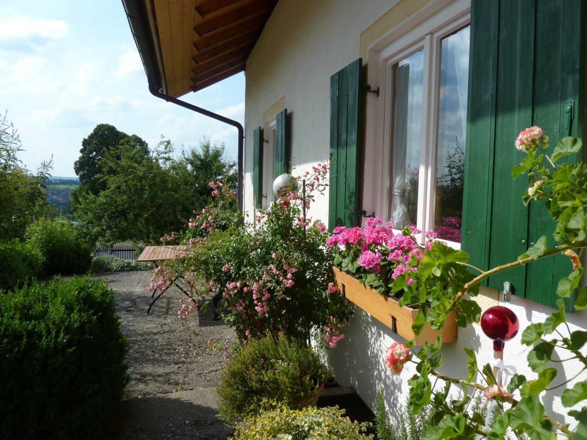Ferienwohnung Panorama Bad Kohlgrub Esterno foto