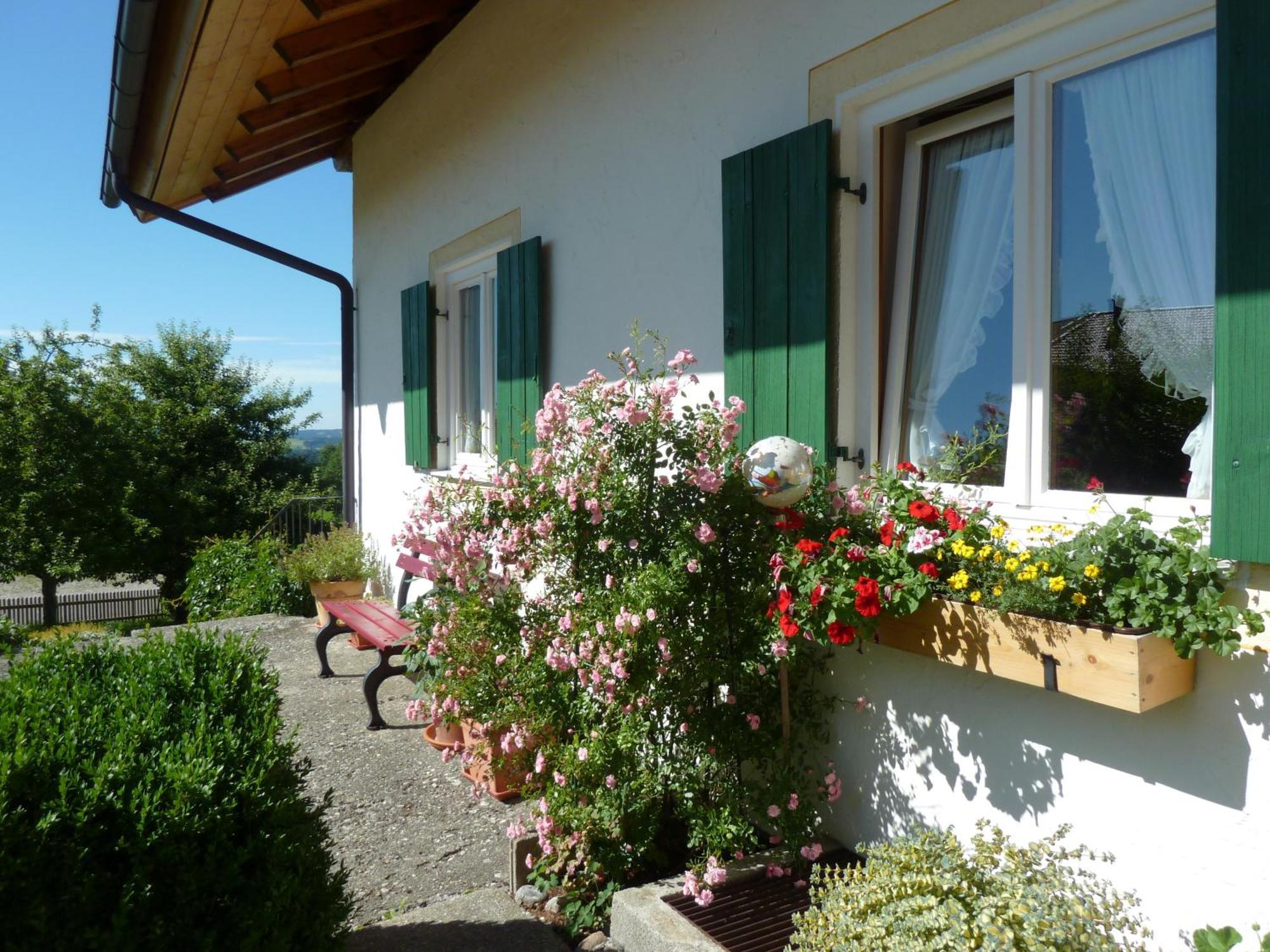 Ferienwohnung Panorama Bad Kohlgrub Esterno foto