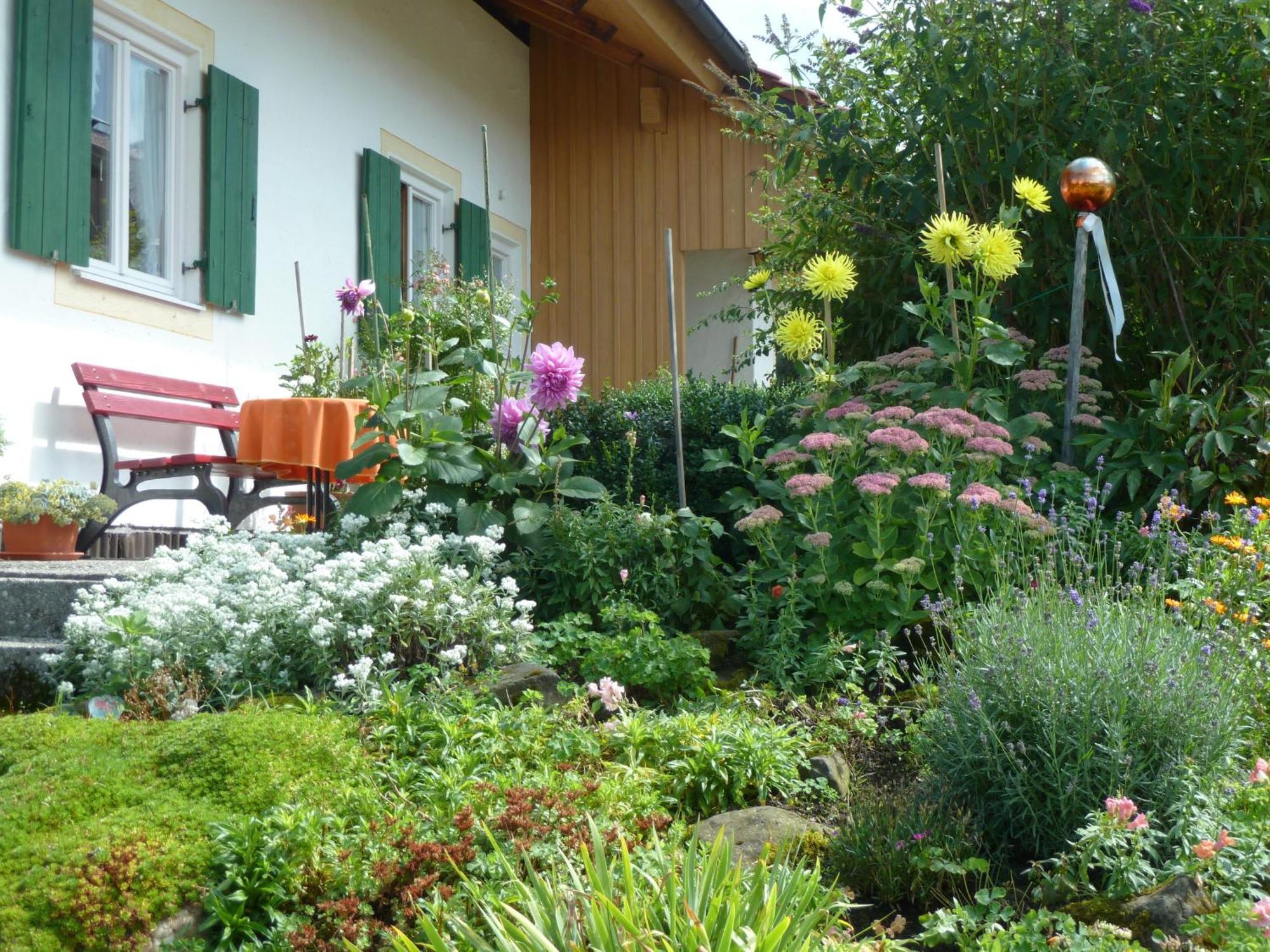 Ferienwohnung Panorama Bad Kohlgrub Esterno foto